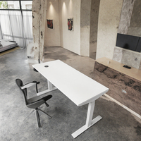 Pied de table de bureau réglable en hauteur, ergonomique, électrique, motorisé, intelligent, en métal, à double moteur, pour ordinateur portable
