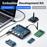 Placa de Desarrollo Integrada Personalizada con Chip BLE, Interfaz de Descarga USB, Controlador Inalámbrico IoT, Fabricante de PCBA