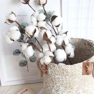 Ramo de Algodón Seco Artificial, Flor de Algodón de una o Varias Cabezas, Decoración para el Hogar, Adornos, Accesorios de Fotografía - Product Image 1