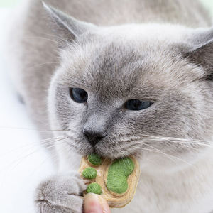 OEM ODM Pet Leckereien und Lebensmittel fabrik Hersteller natürliche knusprige Verdaulich keit Gefrier getrocknete Katzen pfoten Haustier Hund Katze Snacks - Product Image 3