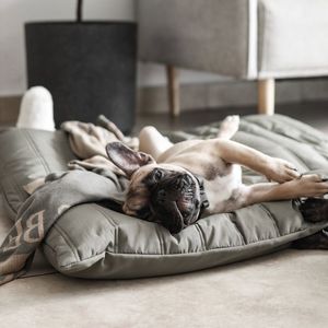 Sac de couchage pour chien personnalisé en gros couverture portable imperméable en polyester lit pour animaux de compagnie avec motif solide pour camping randonnée excursions en bateau - Product Image 1