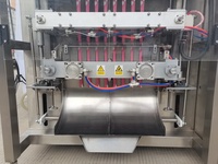 Máquina Automática Vertical HFFS de Flujo Tipo Almohada para Envasado de Polos con Funciones de Llenado y Sellado, para Bolsas de Plástico, con Motor y PLC
