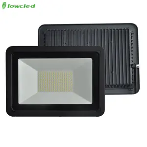 Good Price Floodlight Led Flood Light Cob IP66 10W 20W 30W 50W 100W 150W 200W Aluminum OEM ODM 80 Black Color -40 - 50