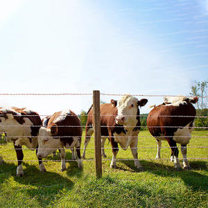 רב גדילים גדר חשמלית פוליטייפ רחב פוליטייפ חבל חוט פלדה עבור בקר חווה חווה - Product Image 6