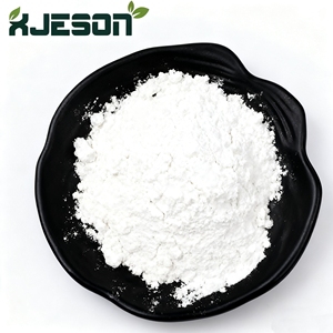 Probiotiques de qualité alimentaire en poudre blanche en gros, supplément de Lactobacillus Reuteri 10 milliards d'UFC/g - Product Image 1