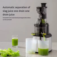 Koudgeperste zelfreinigende 300ml roestvrijstalen elektrische slowjuicer met stekker, voedingsstoffenmolen voor gebruik in de auto