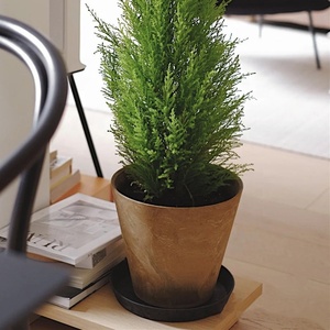 Maceta <span class=keywords><strong>Exterior</strong></span> de plástico duro para jardín <span class=keywords><strong>macetas</strong></span> de bonsái japonesas y moldes para cultivo de orquídeas Para Macetero Balde Plastico - Product Image 3