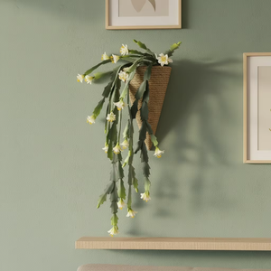 <span class=keywords><strong>Cactus</strong></span> Epiphyllum Artificiale da Parete <span class=keywords><strong>in</strong></span> Vaso Conico Intrecciato, Decorazione di Orchidea <span class=keywords><strong>Cactus</strong></span> Finta Pendente - Product Image 3