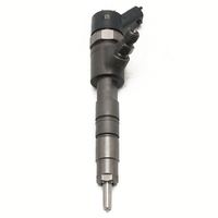 0 445 110 434 0445110434 Inyector de Combustible Common Rail de Alto Rendimiento, Calidad Estable Probada