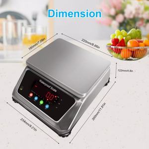 Veidt 무게 30kg/5g ACS-704 고정밀 물고기 저울 기계 낚시 무게 IP68 인증서와 방수 저울 - Product Image 6