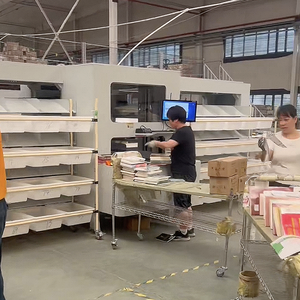 Sistema di Smistamento 3D Truelisort Servizio di Produzione OEM per Logistica di Corrieri Elaborazione Rapida degli Articoli - Product Image 3