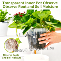 Maceta Colgante de 20 cm (7.9 Pulgadas) con Autorriego, Diseño Nuevo, con Inserto Transparente / Maceta Interior con Ventana Visible para el Nivel del Agua