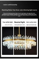 Lámpara de Techo Moderna de Lujo Ligero con Cristales y LED Blanco Cálido para Sala de Estar y Dormitorio Principal