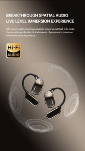 Hot bán thời trang LED hiển thị TWS Earbuds xách tay Tiếng ồn hủy bỏ tai nghe với chức năng chống thấm nước và <span class=keywords><strong>ear</strong></span>-<span class=keywords><strong>Hook</strong></span> - Product Image 5