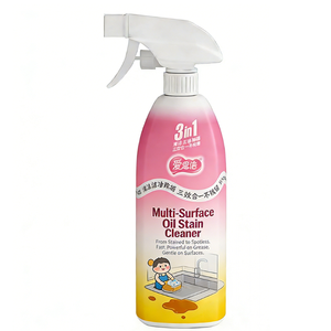 Spray dégraissant professionnel OEM/ODM personnalisé <span class=keywords><strong>pour</strong></span> cuisine, dégraissant puissant <span class=keywords><strong>pour</strong></span> plaques de cuisson, approvisionnement <span class=keywords><strong>en</strong></span> gros sous marque privée - Product Image 1