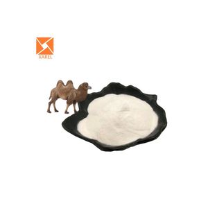 Besin takviyesi hammaddeleri 99% deve süt tozu 1 kg deve sütü - Product Image 1