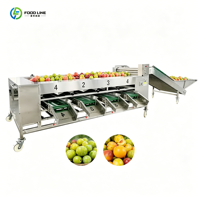 Handige kleine handmatige fruit sorteermachine voor huishoudelijk gebruik, geschikt voor komkommers.