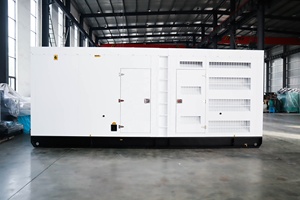 Générateur triphasé super silencieux de 750 KVA avec option moteur alternateur - Product Image 1