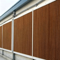 Nouveau système de refroidissement par évaporation automatique industriel avec économie d'eau pour l'alimentation des volailles en élevage