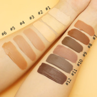 Fond de Teint Liquide Professionnel Couvrance Totale 12 Couleurs Marque Privée Sans Huile Correcteur pour Peaux Foncées Éclaircissant