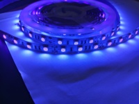 Nouvelle tendance commerciale SMD 2835 IP20/IP65 UVA 390nm-400nm bande lumineuse violette pour fond d'ordinateur TV bande lumineuse LED