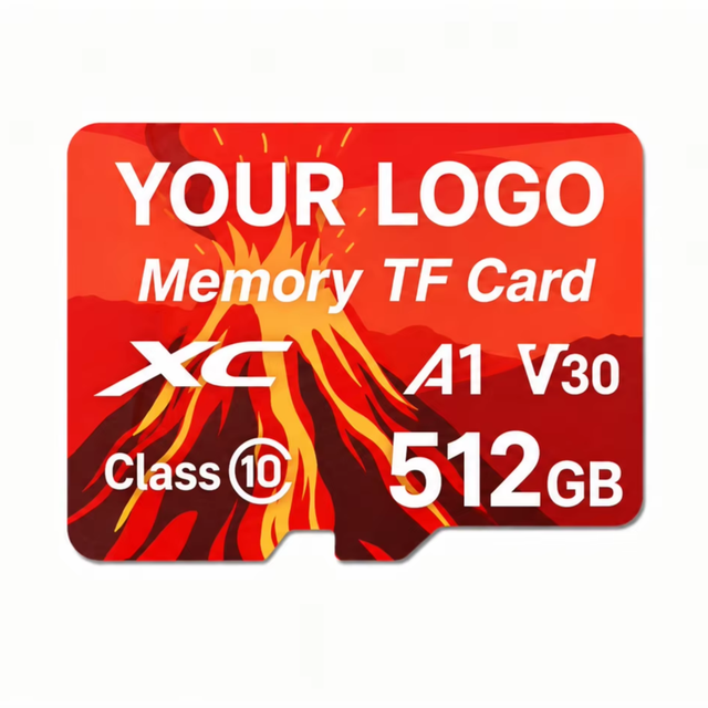 Full Capacity Mini SD TF Card for Security Camera Wholesale