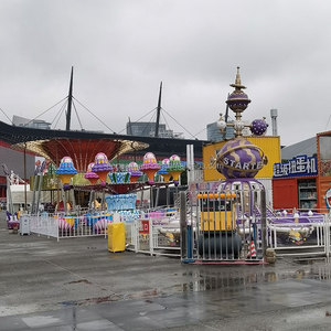 24 chỗ ngồi công viên giải trí cưỡi tự điều khiển máy bay Samba bóng - Product Image 5