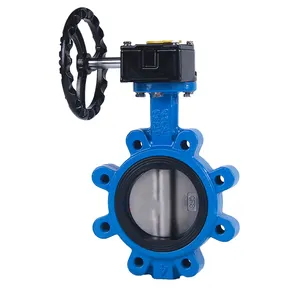 Stainless Steel 4in/6in/8in 304 Disc Hand Turbine Epdm/Ptfe Seat Stainless Steel Wafer Handle Ductile Iron Butterfly Valve