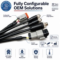 Faisceau de câblage OEM pour panneau de commande d'alarme incendie (FACP) avec connecteurs Deutsch 2/4/8 broches, assemblage personnalisé
