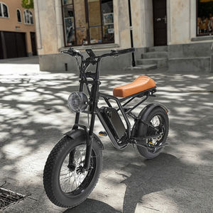 Bicicletas de montanha elétricas de alta potência 750W das fábricas chinesas Instrumentos eletrônicos da tensão 48V com baterias destacáveis - Product Image 1