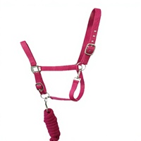 Promotion : Licol pour cheval en corde PP tressée, entièrement réglable, avec ferrures en laiton durables, personnalisable, plusieurs couleurs, en stock, expédition immédiate