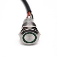 16mm 19mm 22mm 25mm 5 Warna Led Logam Sentuh Klakson Merkuri Senter Tertutup 4-Pin SMD Tombol Tekan Saklar Pemicu Tl-LDKD2 HZ-75