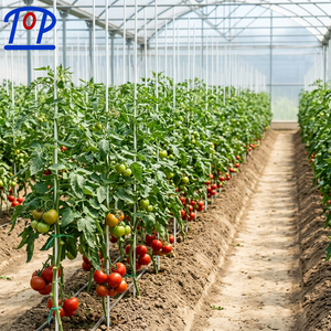Tomato <b>Stakes</b> Plant Support Fiberglass Solid Rods Sticks <b>Stakes</b> UV-Resistant Anti-Aging Non-Scratch - Product Image 1