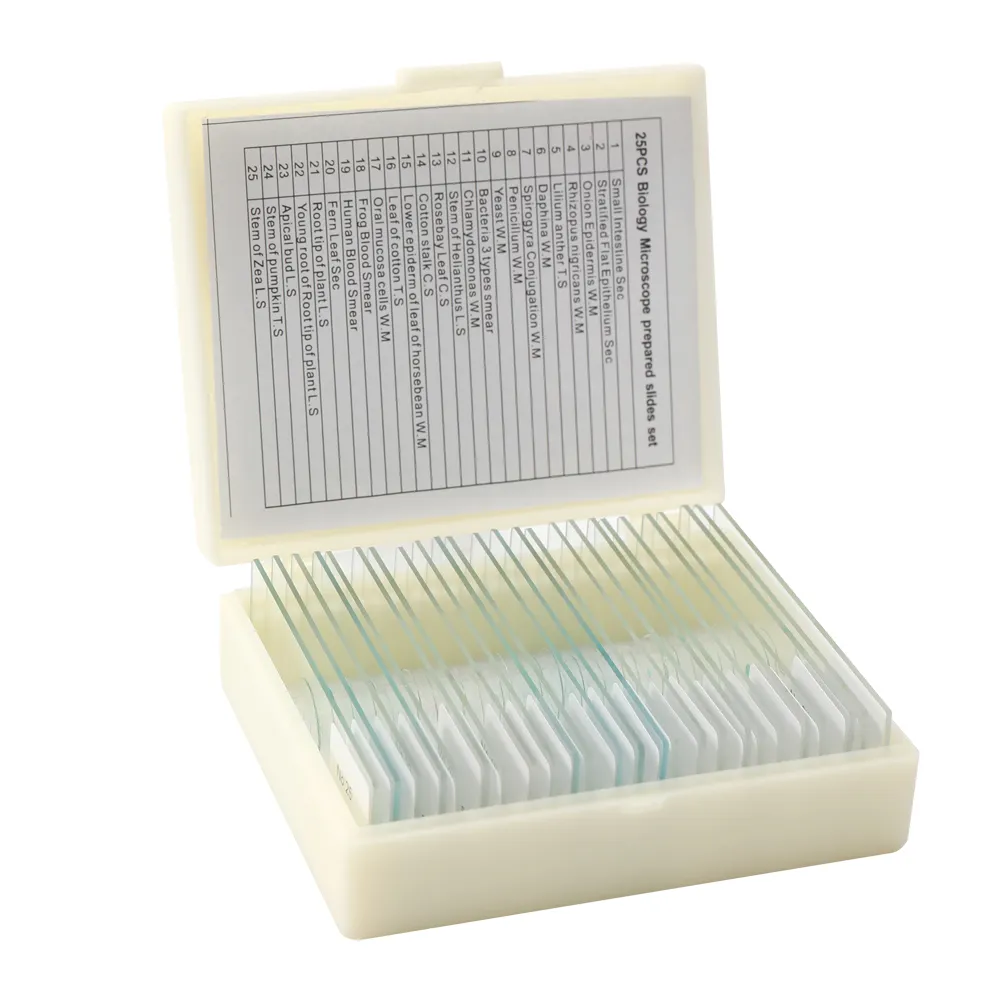 Microscope Accessories on Prepared Microscope Cell Biology and Genetics Chromosome Slide