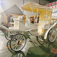 Transport spécial pour le tourisme et les visites touristiques, calèche