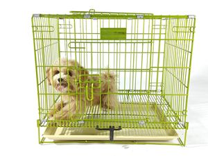 Cages pour chiens en métal multicolore Cages pour lapins Produits pour animaux de compagnie Cages pour chats Cages de voyage portables pour chiens - Product Image 6