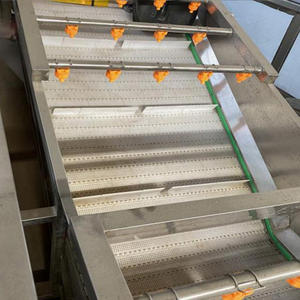 Máquina de Lavado de Burbujas para Frutas y Verduras, Máquina de Lavado de Burbujas para Mango, Aguacate, Chile, Cebolla, Papa - Product Image 2