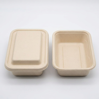 1000ml Wegwerp Biologisch Afbreekbare Lunchbox van Suikerrietbagasse, Magnetronbestendig, Water- en Oliebestendig Deksel, Diepe Rechthoekige Vorm