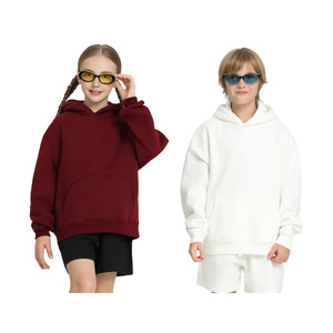 Ventes en gros de sweats à capuche pour enfants de haute qualité, en tissu French Terry, unisexes, adaptés aux loisirs quotidiens - Product Image 2