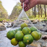 Sacs en filet de nylon pour le stockage des légumes (oignons), des fruits de mer (écrevisses, crabes), des produits alimentaires, des jouets et des fruits