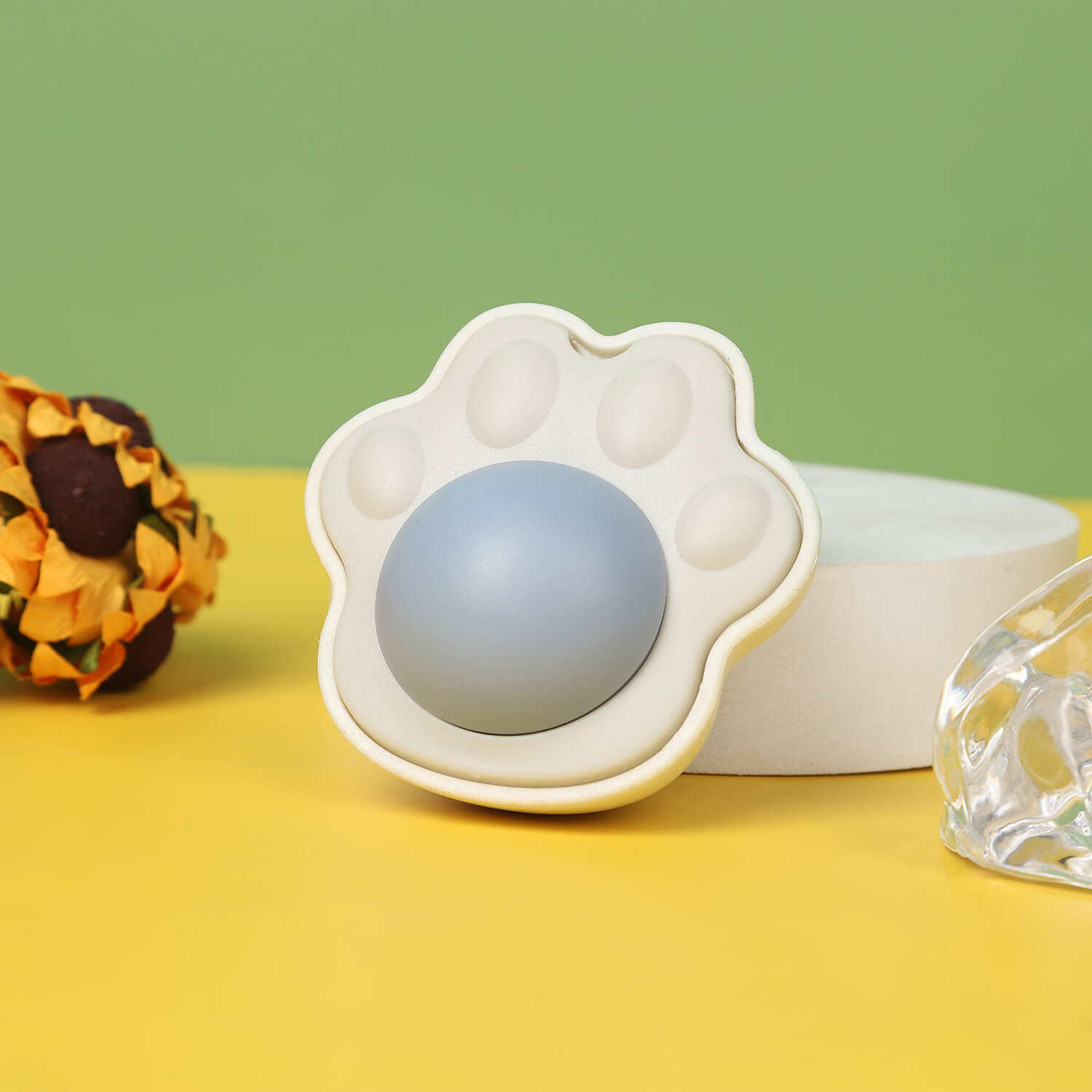 อุ้งเท้าแมวสีขาว01