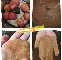 Commerciële Industriële Voedsel Vlees Chopper Molen Groente Crusher Hakken Machine Fruit Apple Klopper Kloppen Machine