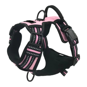Yeni İnovasyon Köpek Tasması Seti Yumuşak Dolgulu Polyester Çevre Dostu Ayarlanabilir Dayanıklı Lüks Moda Tasarım Özel Evcil Hayvan Malzemeleri - Product Image 4