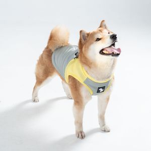 Gilet Rinfrescante Traspirante per Cani con Attacco per Guinzaglio, per Razze Medie/Grandi, Abbigliamento Estivo XXL, Stile Casual, T-Shirt - Product Image 4