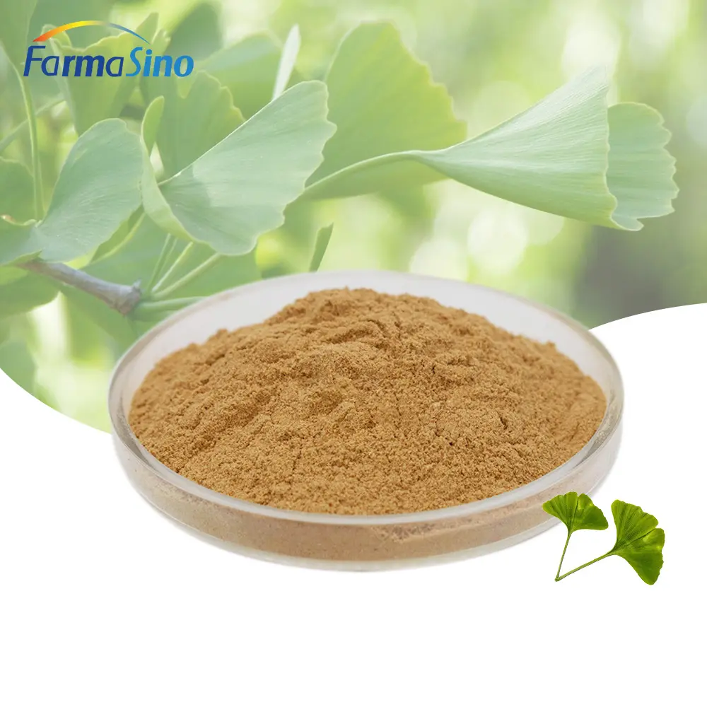 High Quality 100% Pure Natural Organic Ginkgo Biloba Extract Powder