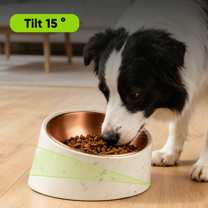Gamelle pour chien en mélamine durable, antidérapante, confortable et moderne, de taille moyenne, pour réduire la fatigue du cou et améliorer la digestion – Gamelles pour animaux de compagnie - Product Image 5