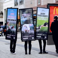 Cartel Led personalizado, equipo de publicidad portátil, mochila duradera, cartelera para marketing, exhibición de negocios
