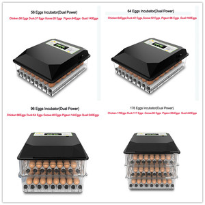 Máquina de incubadora de incubadora de huevo de <span class=keywords><strong>pavo</strong></span> de <span class=keywords><strong>pollo</strong></span> solar de 220V + 12V de doble potencia con bandeja rodante - Product Image 4