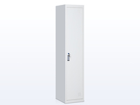 Casier métallique individuel pour vestiaire de personnel scolaire et de salle de sport, armoire de rangement pour vêtements et colis en acier pour travailleurs