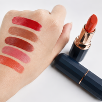 Rouge à lèvres de luxe mat de haute qualité, texture multicolore naturelle, longue tenue, maquillage de fête, tube noir, marque privée